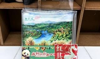 西安人都在晒的绿色熊猫贴