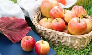 早餐可以吃什么水果