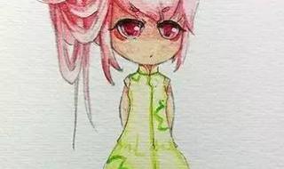 多肉质量好的文笔推荐