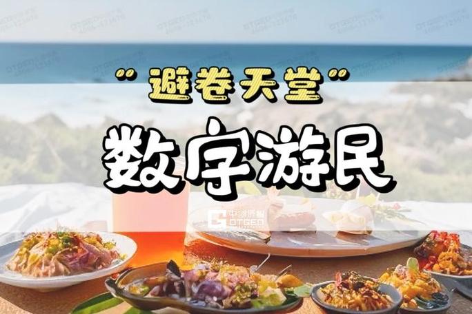 数字游民:地理套利时代的生存实验(数字游民哪些赚钱方式)