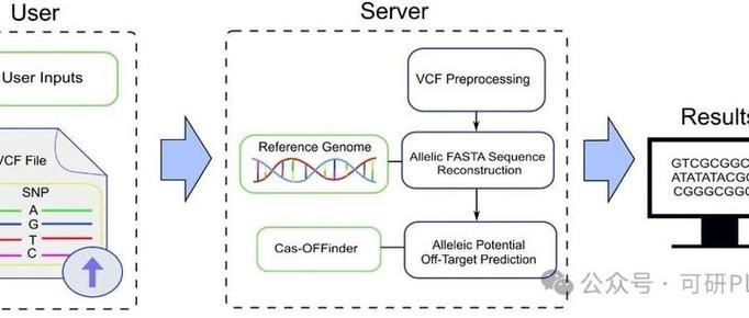 基因编辑的脱靶风险监测（基因编辑技术脱靶效应）