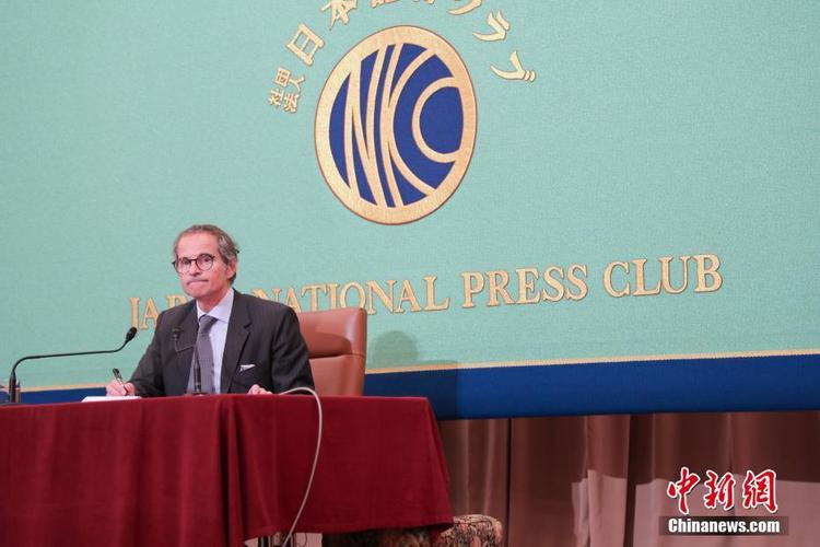 国际原子能机构总干事下周出席埃及达巴核电站反应堆压力容器安装仪式