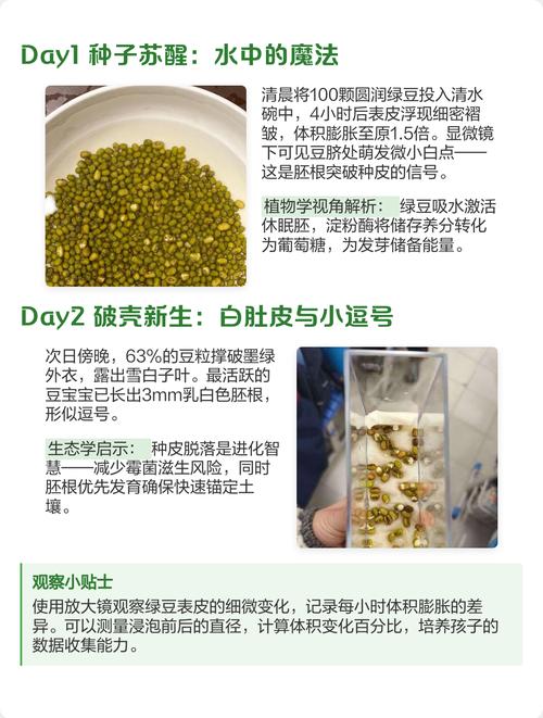 种子休眠期的破壳触发条件（种子休眠破除方法）