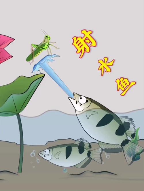 射水鱼攻击准确性的光线折射计算（射水鱼是怎么捕捉食物的）