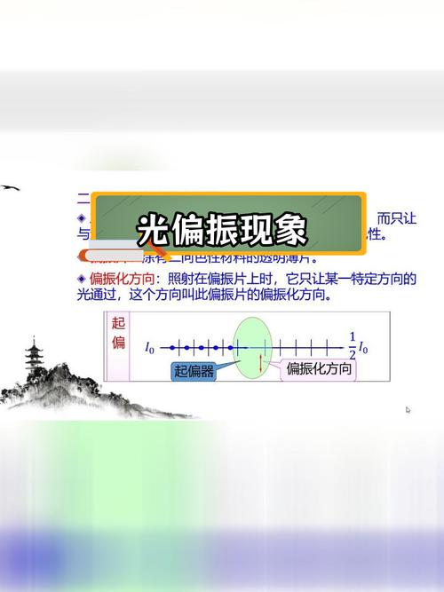 包含维京导航太阳石的偏振光原理的词条