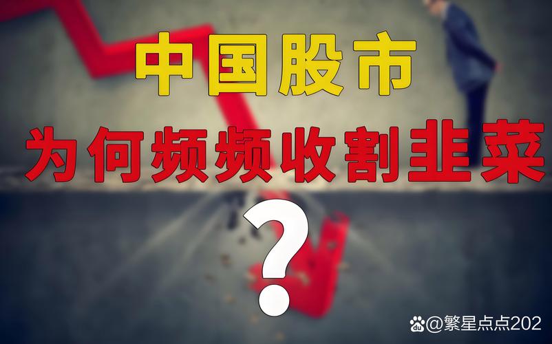 新兴前沿市场斩获丰收之年，投资者依旧看涨后市