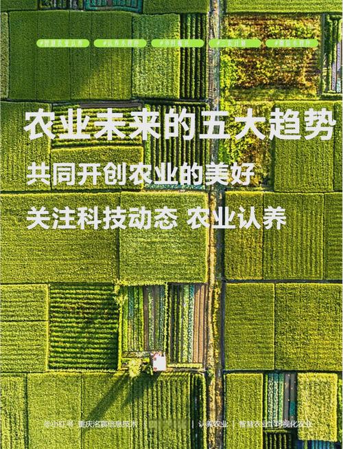 生态农业:传统智慧与现代科技的融合(生态农业技术模式与发展趋势)