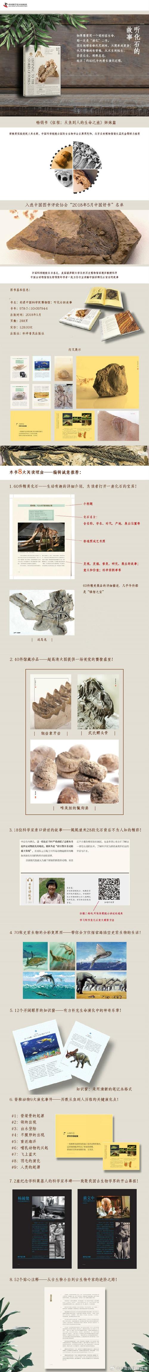 化石森林的硅化替换过程(化石的硅化作用)