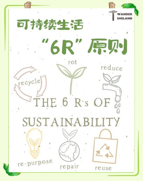 环保行动：个人如何参与全球气候治理（我要积极参与全球环境治理落实减排承诺）