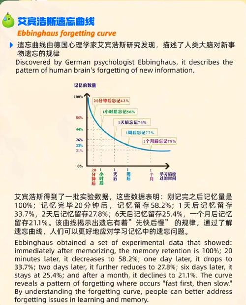 间隔重复：对抗遗忘曲线的科学记忆策略（间隔重复图案）