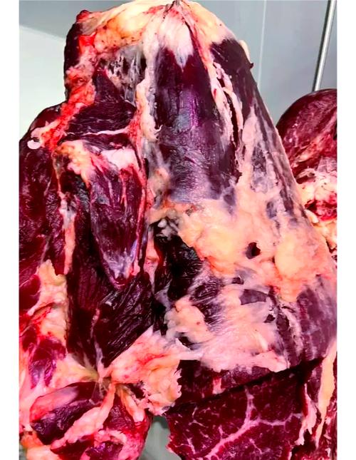 美国农业部召回超2800磅Forward Farms草饲生碎牛肉