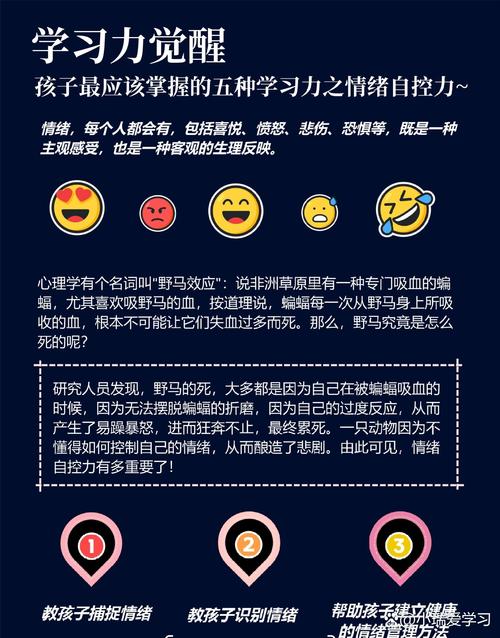 自主学习者:在没有外部压力下持续成长的心态(没有自主能力的人)