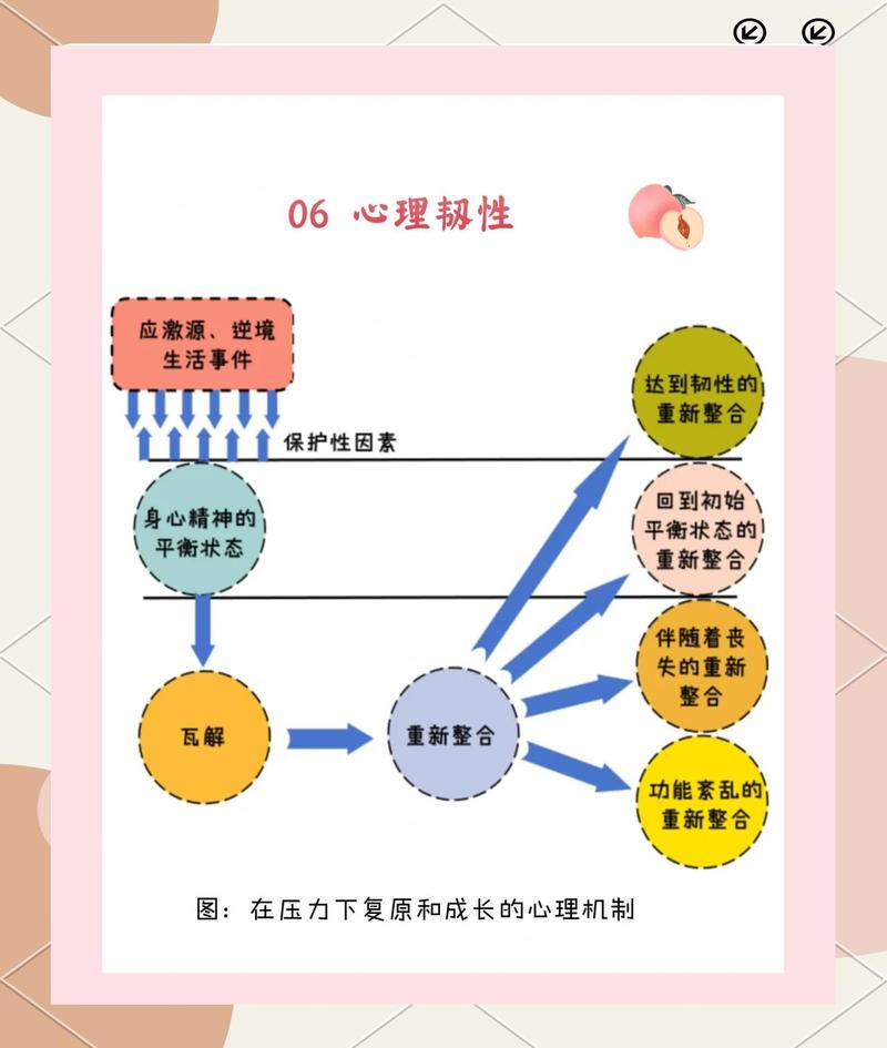 心理弹性：从创伤中恢复并成长的秘密（心理弹性的重要性）