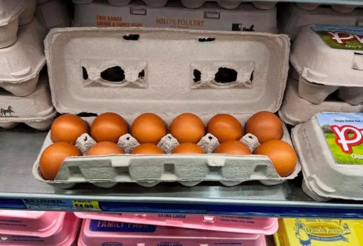 韩国将从美国进口224万枚鸡蛋，应对禽流感可能造成的供应短缺