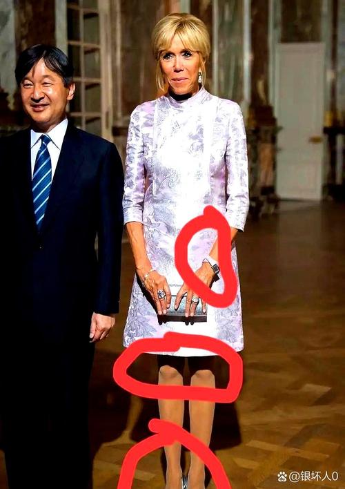 马克龙夫人布里吉特的身世背景（布丽吉特·马克龙传在线阅读）