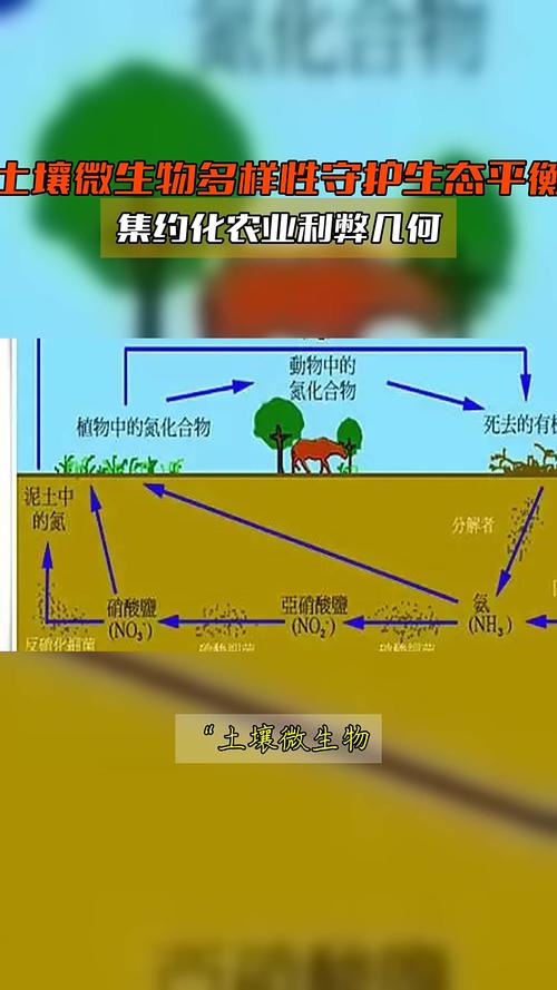 能源危机给一群农业微生物带来“救赎机会”