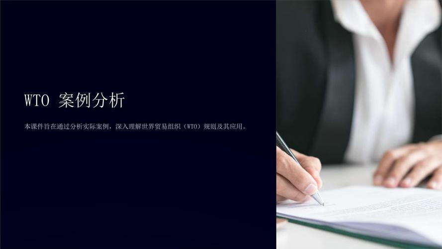 案例分析PPT（案例分析PPT模板）