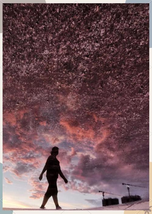 oppo手机摄影大赛（2020手机摄影大赛图片要有人物）