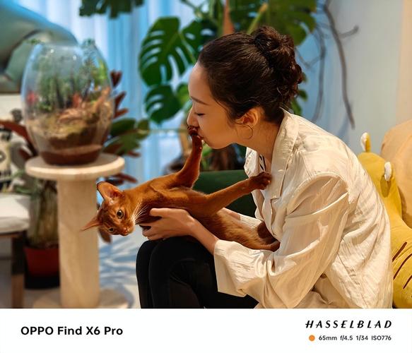 oppo手机摄影大赛（2020手机摄影大赛图片要有人物）