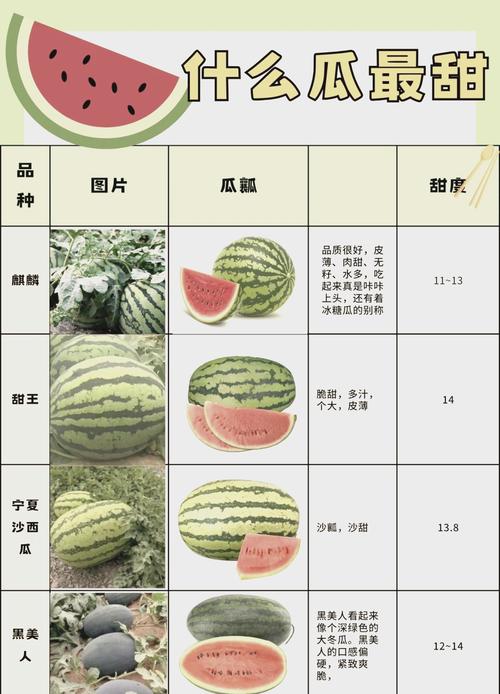 新机遇西瓜品种介绍（新机遇西瓜好吃吗）