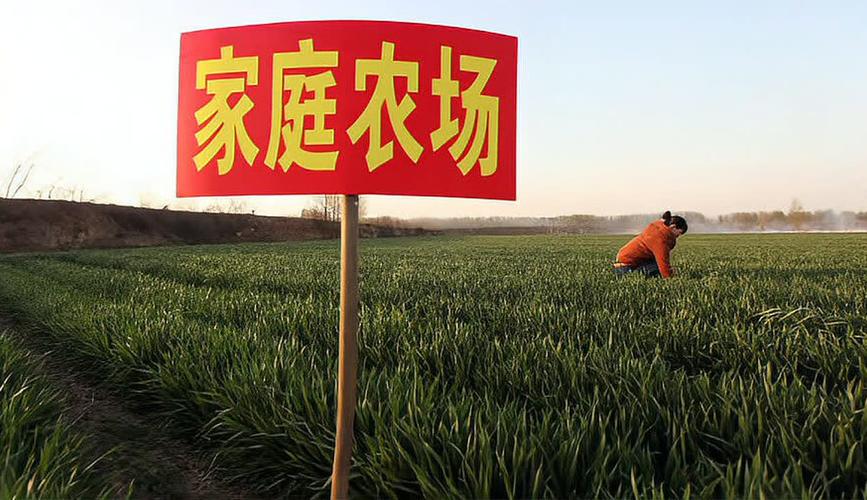 家庭农场注册资金多少合适（家庭农场的注册资金对自己有多大影响）