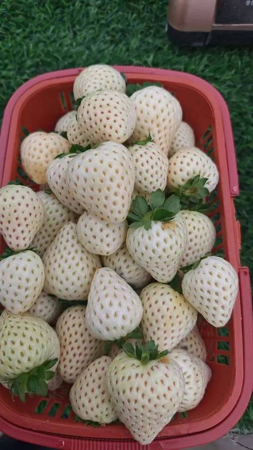 家庭农场注册资金多少合适（家庭农场的注册资金对自己有多大影响）