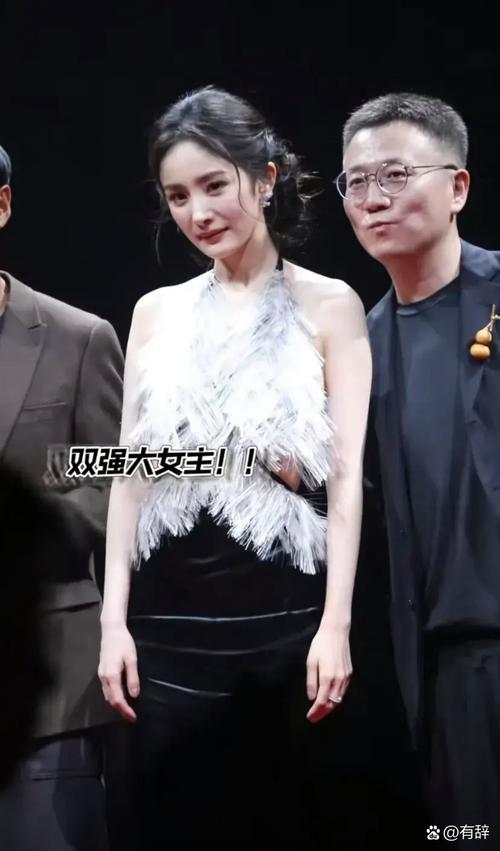 杨幂章子怡华表奖（杨幂和章子怡同框）