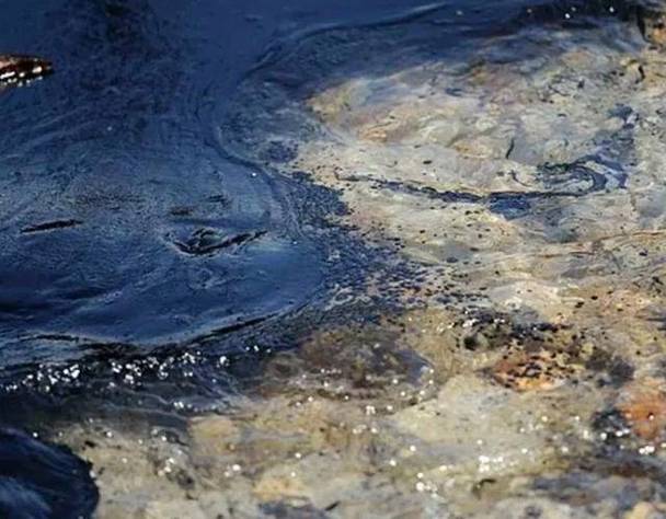 特朗普：美国有能力摧毁哈尔克岛的石油设施