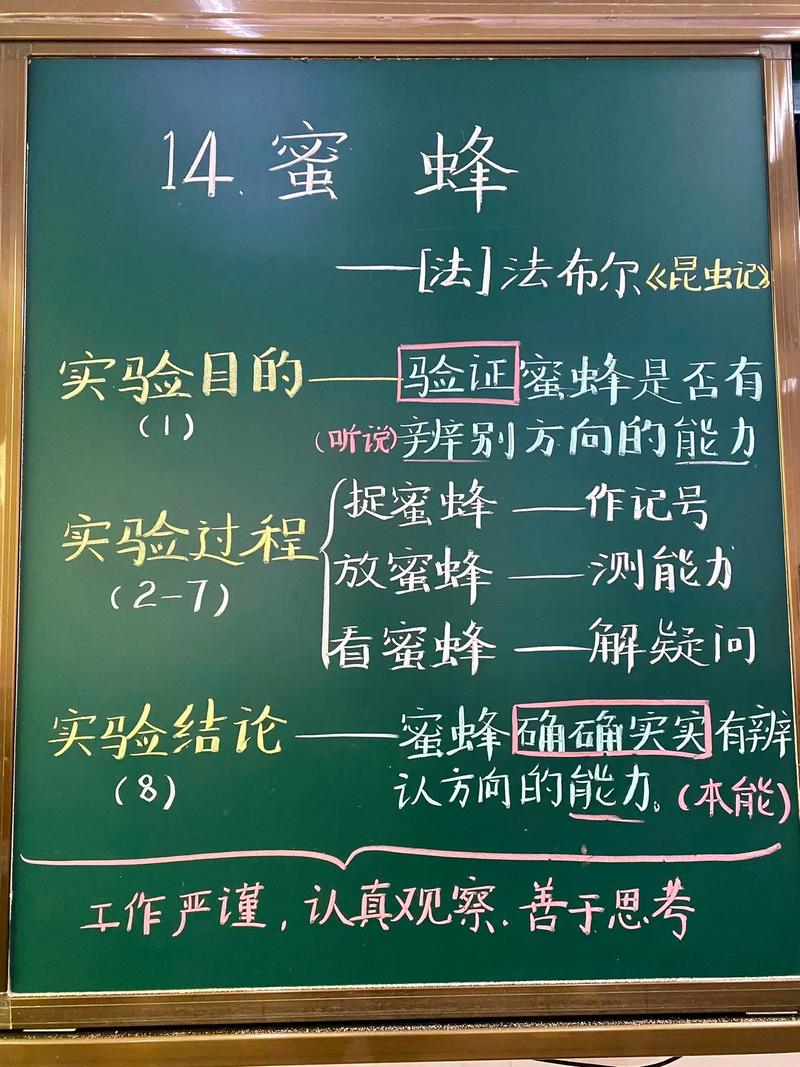 《华安固事》之三 | 吴文明做勤劳的蜜蜂，寻找确定性机会