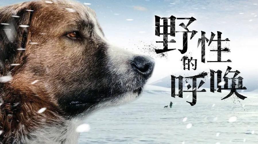 呼唤生活电影免费观看完整版高清（呼唤生活电影免费观看完整版高清中文）