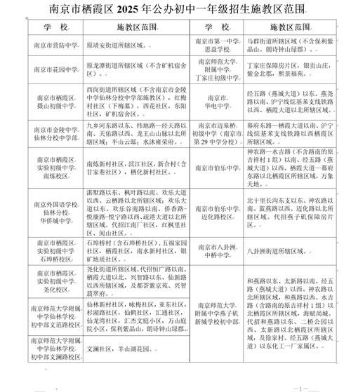 学区房政策(南京学区房政策)