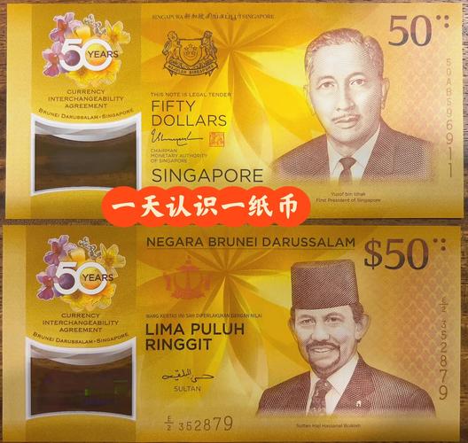 新加坡货币上的人是谁(新加坡 货币)