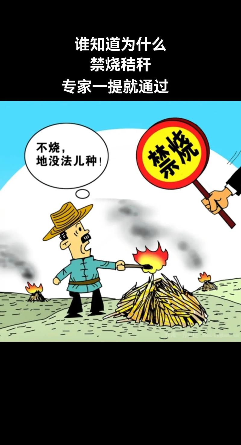 秸秆处理方案（秸秆处理的可行性措施）