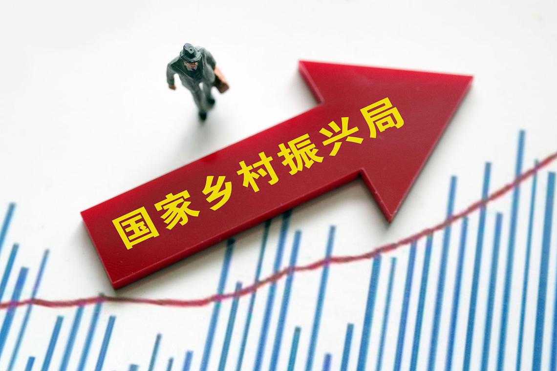 乡村振兴项目logo（乡村振兴项目四个一批是指什么）