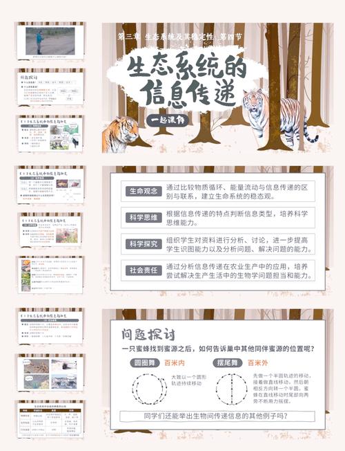 信息分享和共享的区别在于（信息共享的好处和坏处）