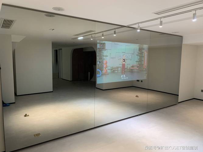 智能健身镜的使用感受（智能健身镜是交智商税吗）