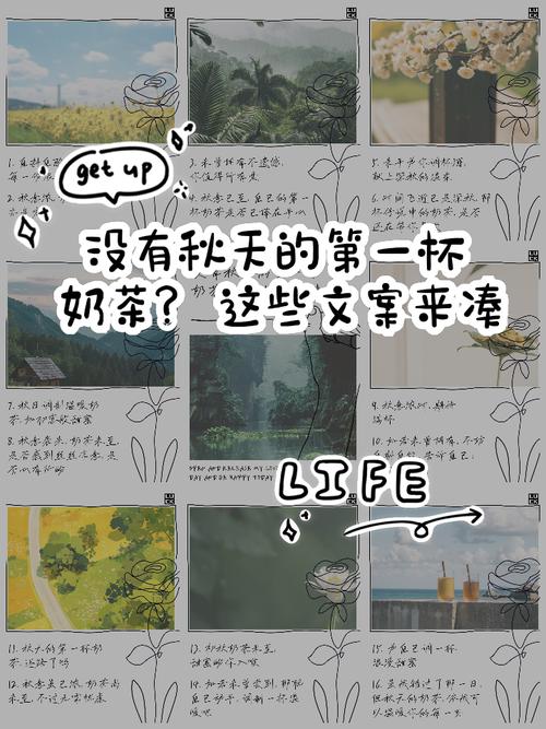 秋天里的第一杯奶茶梗是怎么来的（秋天里的第一杯奶茶是什么含义?）