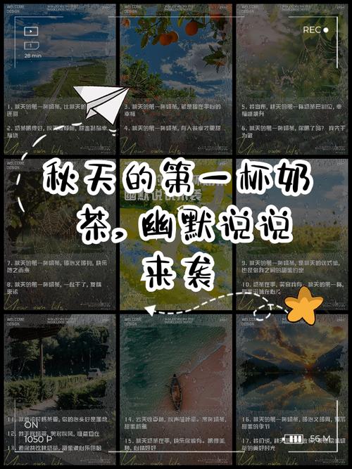 秋天的第一杯奶茶从何说起（秋天的第一杯奶茶啥意思???求解）