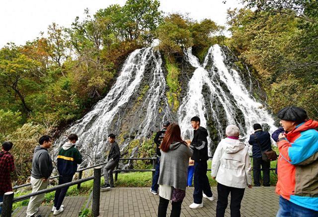 114亿美元代价!日本旅游业复苏势头恐被按下“暂停键”