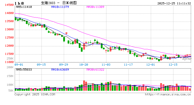 2025年猪价震荡下滑 2026年能否有起色？
