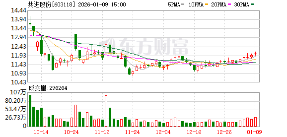 共进股份：持续稳定地提升公司业绩是维护股东长期利益与公司长远发展的根本