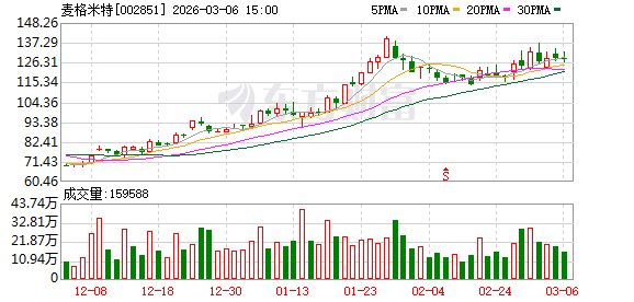 麦格米特：审计机构变更项目合伙人、签字注册会计师及项目质量控制复核人